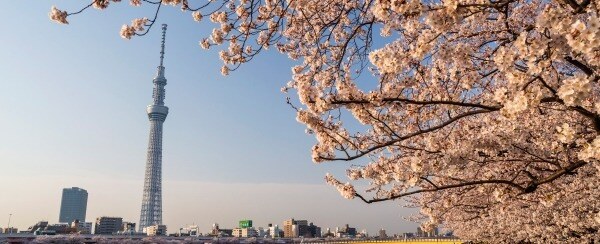 ERPの価値と導入検討のベストプラクティス（東京）