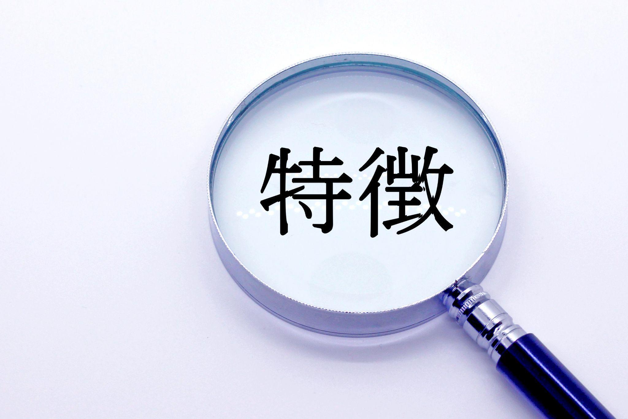 統合型ERPの主要な特徴