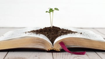 GROW with SAPとは?中堅中小企業向けERP導入を支援するソリューションを解説