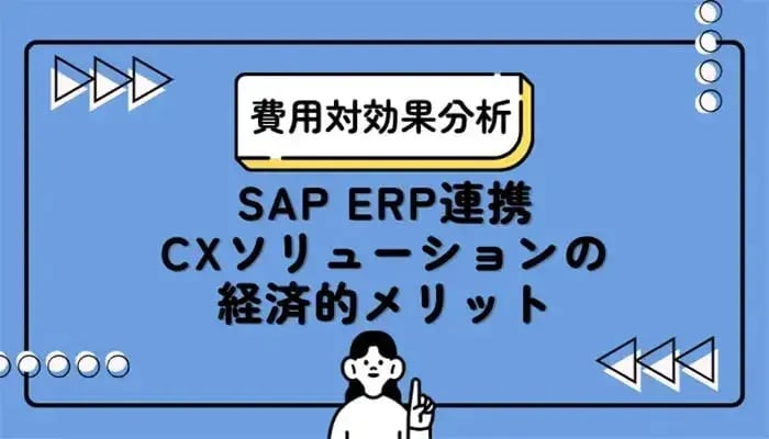 【費用対効果分析】SAP ERP連携CXソリューションの経済的メリット